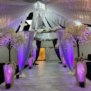 Meet your Posher, Alexander